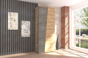 Аллегро-10 Шкаф двухдверный Диал в Надыме - nadym.mebel-tymen.ru | фото