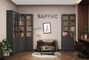 Библиотека Харрис в Надыме - nadym.mebel-tymen.ru | фото