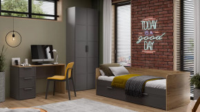 Детская «Стелла» Серый вулкан, Фон Серый, Яблоня Беллуно в Надыме - nadym.mebel-tymen.ru | фото