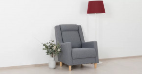 Дилан Кресло для отдыха арт. ТК 423 в Надыме - nadym.mebel-tymen.ru | фото