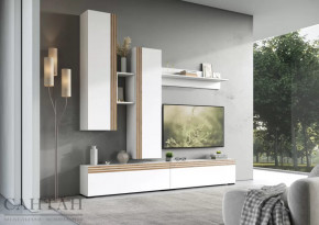 Гостиная НАО-Моно №1 в Надыме - nadym.mebel-tymen.ru | фото