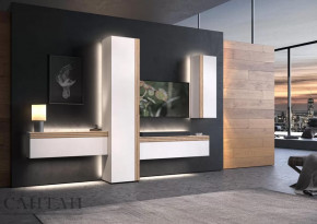 Гостиная НАО-Моно №7 в Надыме - nadym.mebel-tymen.ru | фото