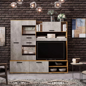 Гостиная Трамп ЦС-05 в Надыме - nadym.mebel-tymen.ru | фото