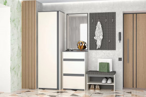 Иннэс-12  Прихожая №1 Диал в Надыме - nadym.mebel-tymen.ru | фото