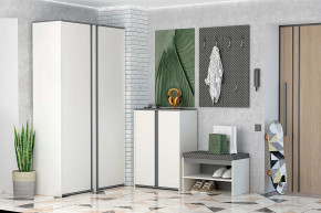 Иннэс-12 Прихожая №2 Диал в Надыме - nadym.mebel-tymen.ru | фото