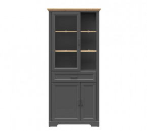 JASMIN шкаф REG1W2D1S (Графит/ Дуб артизан) в Надыме - nadym.mebel-tymen.ru | фото