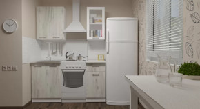 Кухонный гарнитур Алина мини 1000 мм в Надыме - nadym.mebel-tymen.ru | фото