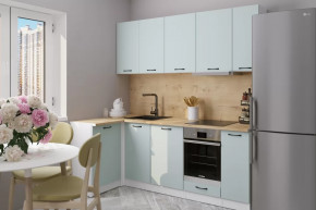 Кухонный гарнитур Лиора прайм 400 1100х2000 мм в Надыме - nadym.mebel-tymen.ru | фото