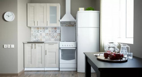 Кухонный гарнитур Лира мини 1000 мм в Надыме - nadym.mebel-tymen.ru | фото