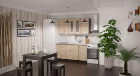 Кухонный гарнитур Ника стандарт 1600 мм в Надыме - nadym.mebel-tymen.ru | фото