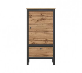 LOFT шкаф REG1D1S/60 (Дуб вотан/Черный) в Надыме - nadym.mebel-tymen.ru | фото