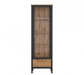 LOFT шкаф REG1W1S (Дуб вотан/Черный) в Надыме - nadym.mebel-tymen.ru | фото