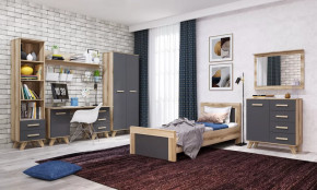 Молодёжная №ДКС-1 "Вега Скандинавия" Дуб каньон/Силк флай в Надыме - nadym.mebel-tymen.ru | фото