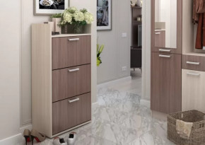 Обувница №2 Дели в Надыме - nadym.mebel-tymen.ru | фото