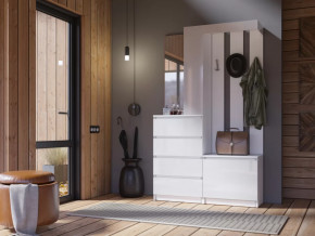 Прихожая Челси белый в Надыме - nadym.mebel-tymen.ru | фото