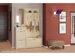 Прихожая Карина набор 2 в Надыме - nadym.mebel-tymen.ru | фото