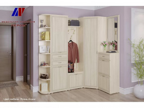 Прихожая Карина набор 5 в Надыме - nadym.mebel-tymen.ru | фото