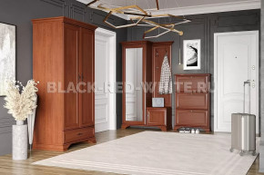 Прихожая Kentaki каштан в Надыме - nadym.mebel-tymen.ru | фото