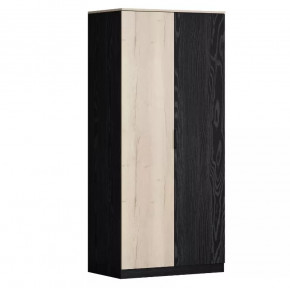 Шкаф двухстворчатый для одежды Дельта Лофт 13.02 в Надыме - nadym.mebel-tymen.ru | фото