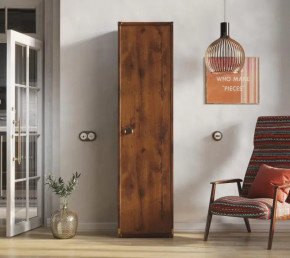 Шкаф JREG 1d Дуб саттер ИНДИАНА в Надыме - nadym.mebel-tymen.ru | фото