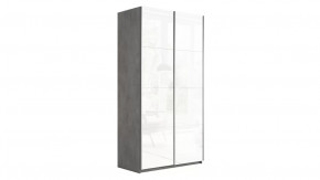 Шкаф-купе 2-х дверный «Траст» в Надыме - nadym.mebel-tymen.ru | фото