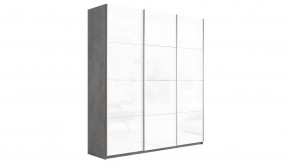 Шкаф-купе 3-х дверный «Траст» в Надыме - nadym.mebel-tymen.ru | фото