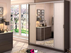 Шкаф-купе Альянс 2000 в Надыме - nadym.mebel-tymen.ru | фото