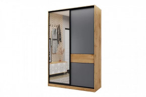 Шкаф-купе SLIM двухдверный BS15-6.ZD в Надыме - nadym.mebel-tymen.ru | фото