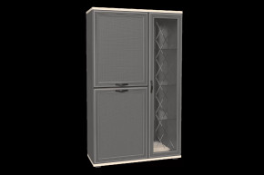 Шкаф многоцелевой ШК-1082 Карина в Надыме - nadym.mebel-tymen.ru | фото