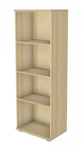 Шкаф многоцелевой ШК-1088 Карина в Надыме - nadym.mebel-tymen.ru | фото