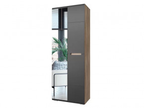 Шкаф Наоми ШК-22 графит нубук в Надыме - nadym.mebel-tymen.ru | фото