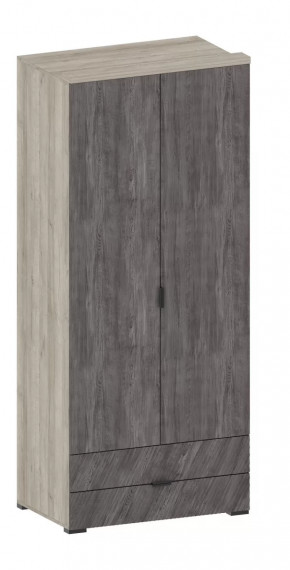 Шкаф Шаде ШК-2905 в Надыме - nadym.mebel-tymen.ru | фото