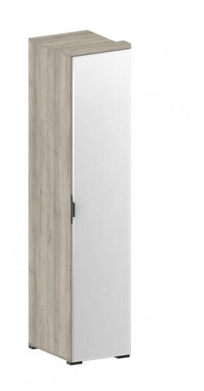 Шкаф Шаде ШК-2912 в Надыме - nadym.mebel-tymen.ru | фото