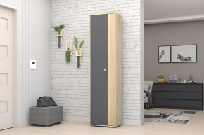 Шкаф ШК-01 Монако в Надыме - nadym.mebel-tymen.ru | фото