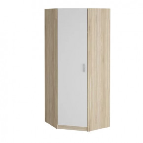 Шкаф угловой "Салоу" 900 в Надыме - nadym.mebel-tymen.ru | фото