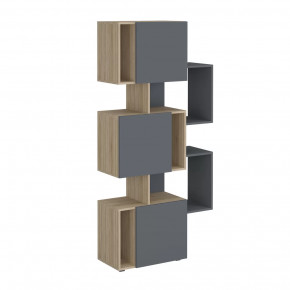 Стеллаж Дублин в Надыме - nadym.mebel-tymen.ru | фото