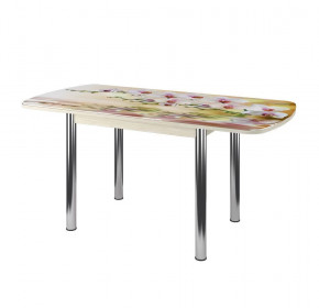 Стол Бостон-3 раздвижной, фотопечать Орхидея на воде/венге/хром брифинг в Надыме - nadym.mebel-tymen.ru | фото