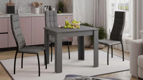 Стол обеденный «Промо» тип 1 Серый графит в Надыме - nadym.mebel-tymen.ru | фото