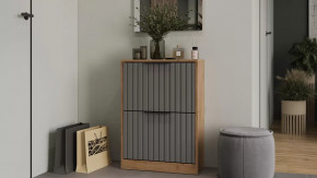 Тумба для обуви «Хилтон» Исп.2 Дуб Крафт золотой, Графит матовый в Надыме - nadym.mebel-tymen.ru | фото