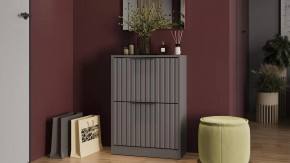 Тумба для обуви «Хилтон» Исп.2 Серый графит, Графит матовый в Надыме - nadym.mebel-tymen.ru | фото