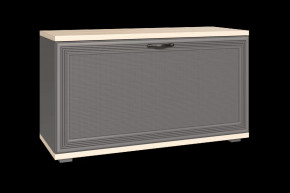 Тумба для обуви ТБ-1041 Карина в Надыме - nadym.mebel-tymen.ru | фото