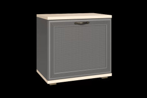 Тумба для обуви ТБ-1042 Карина в Надыме - nadym.mebel-tymen.ru | фото