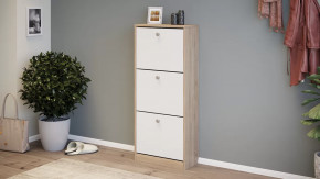 Тумба для обуви «Тетра» Тип 1 Исп. 2 в Надыме - nadym.mebel-tymen.ru | фото