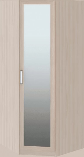 Волкер подростковая М01 Шкаф угловой в Надыме - nadym.mebel-tymen.ru | фото